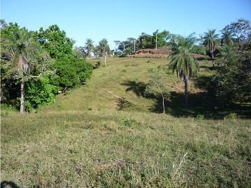 Terreno a Orilla del Mar en Boca Chica
