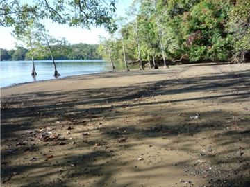 Terreno a Orilla del Mar en Boca Chica