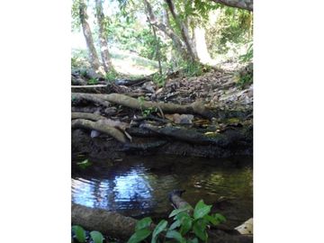 Terreno a Orilla del Mar en Boca Chica