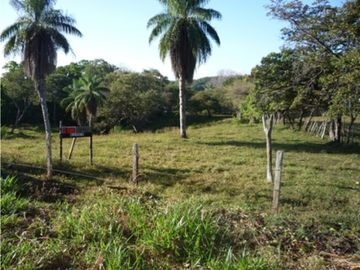 Terreno a Orilla del Mar en Boca Chica