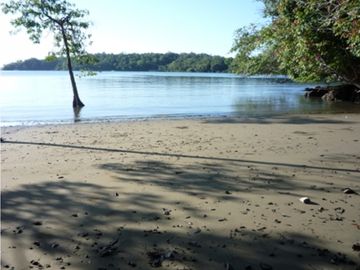 Terreno a Orilla del Mar en Boca Chica