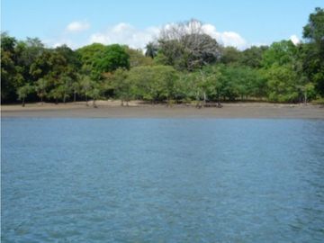 Terreno a Orilla del Mar en Boca Chica