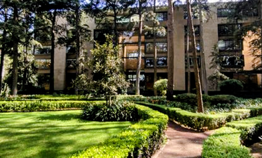 Departamento al Sur de la CDMX, Tlalpan