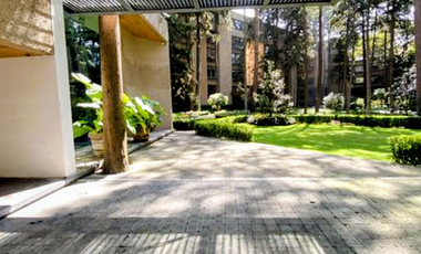 Departamento al Sur de la CDMX, Tlalpan