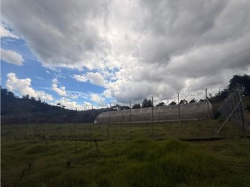 LOTE COMERCIAL EN ARRIENDO