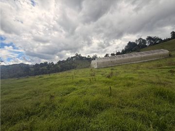 LOTE COMERCIAL EN ARRIENDO