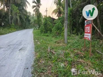 Land for sale in Ko Tao, Phatthalung