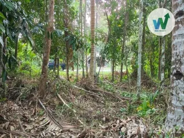Land for sale in Ko Tao, Phatthalung