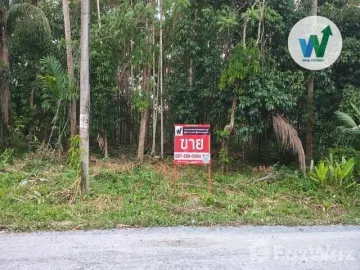 Land for sale in Ko Tao, Phatthalung