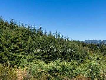 Precioso terreno de 23,76 ha con acceso al lago y vista panorámica al volcán Osorno y el Lago Llanquihue