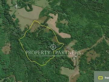 Precioso terreno de 23,76 ha con acceso al lago y vista panorámica al volcán Osorno y el Lago Llanquihue