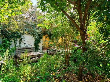 Oportunidad Casa para remodelar Francisco Bilbao