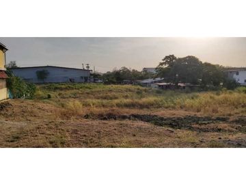ALQUILER / VENTA TERRENO JUAN DIAZ 6000 MTS