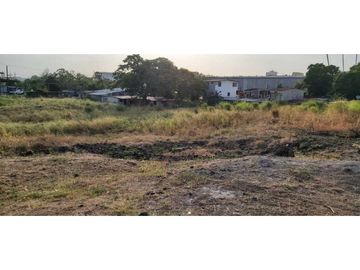ALQUILER / VENTA TERRENO JUAN DIAZ 6000 MTS