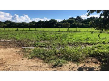 VENTA DE LOTE RO GRANDE PENONOMÉ