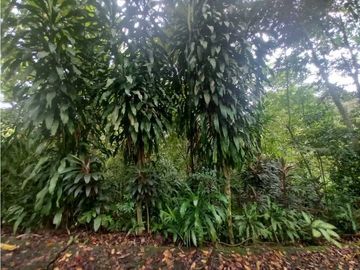 VENTA TERRENO/ LOTE LAS CUMBRES