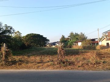 Land for sale in Pa Sak, Lamphun