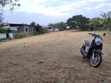 Land for sale in Pa Sak, Lamphun