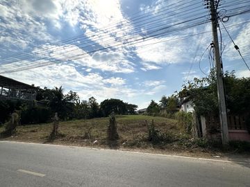 Land for sale in Pa Sak, Lamphun