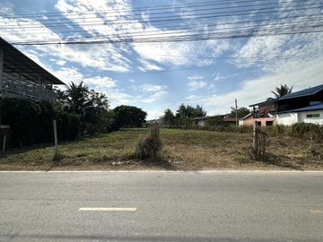Land for sale in Pa Sak, Lamphun