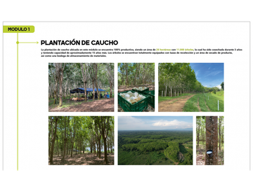 SE VENDE HACIENDA BERLN – SANTANDER