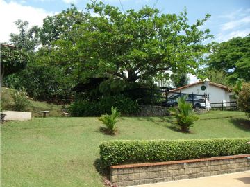 Venta finca Támesis. 37.274 m2. $1.800 millones
