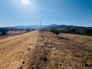 Hermosa parcela de 10.000 m/2 en Condominio en Catapilco