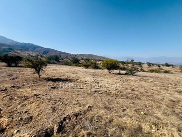 Hermosa parcela de 10.000 m/2 en Condominio en Catapilco