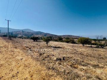 Hermosa parcela de 10.000 m/2 en Condominio en Catapilco