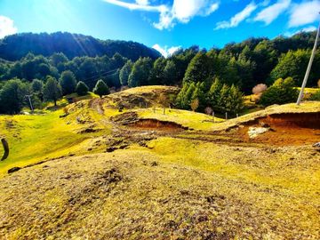 Patagonia, 62ha cercano a lago Barroso