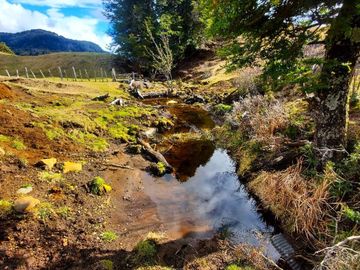 Patagonia, 62ha cercano a lago Barroso
