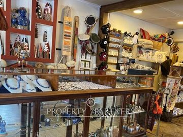 Cabañas de Turismo y local comercial funcionando