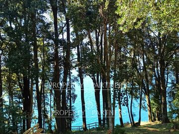 Exclusivos sitios orilla de lago Calafquen