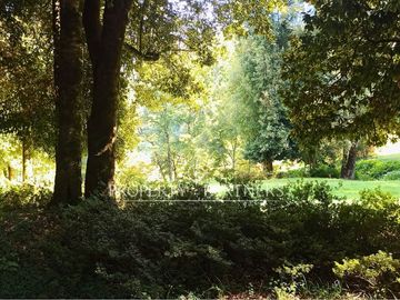 3,6 ha con orilla de lago en Panguipulli