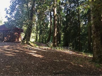 3,6 ha con orilla de lago en Panguipulli