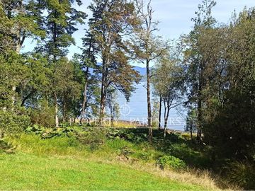 3,6 ha con orilla de lago en Panguipulli