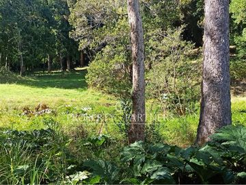 3,6 ha con orilla de lago en Panguipulli
