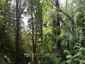 ¡Oportunidad! Increíble terreno con bosque nativo en Reserva Huilo Huilo