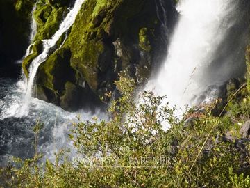 ¡Oportunidad! Increíble terreno con bosque nativo en Reserva Huilo Huilo