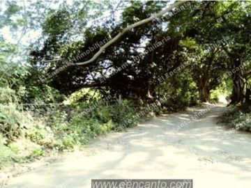 Se vende terreno 5721 m2 Laguna de SAMAO