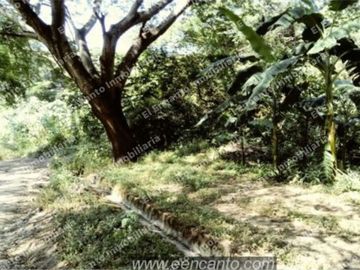 Se vende terreno 5721 m2 Laguna de SAMAO