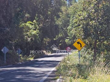 PARCELAS EN PANGUIPULLI - LICAN RAY | CONDOMINIO CONSOLIDADO DESDE 1,000 UF CRÉDITO HIPOTECARIO