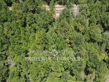 Parcela con bosque Nativo.