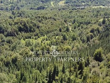 Parcela con bosque Nativo.