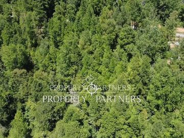 Parcela con bosque Nativo.