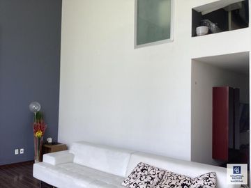 Boulevard Bosque Real Garden House