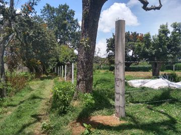 TERRENO EN VENTA EN TENANCINGO - (3)