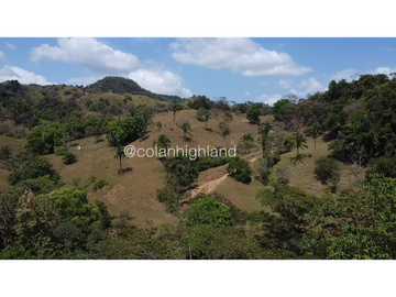 Se Vende Finca 1,731 hectáreas en Macaracas, Los Santos