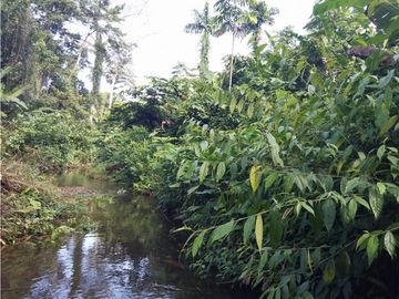 Se VENDE Finca en La Pintada, Coclé