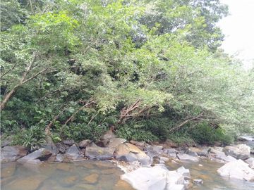 Se VENDE Finca en La Pintada, Coclé